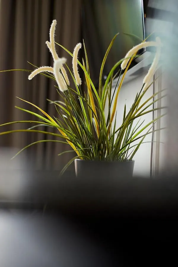 Bed & Breakfast Modern Canal House Loft - City Center Amsterdam